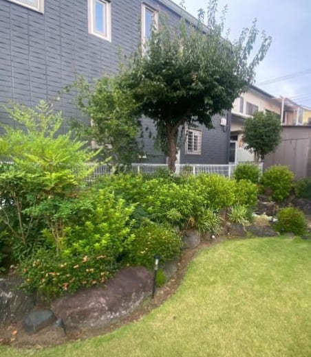 お庭の手入れのBEFORE画像