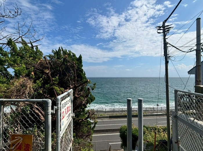 特殊伐採のAFTER画像