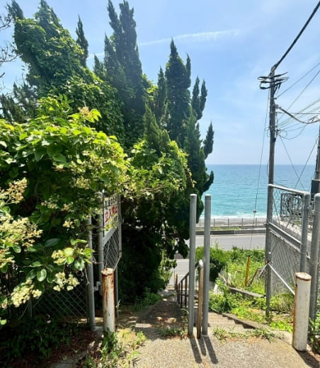 特殊伐採のBEFORE画像