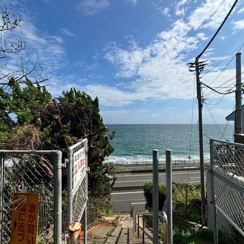 特殊伐採のAFTER画像