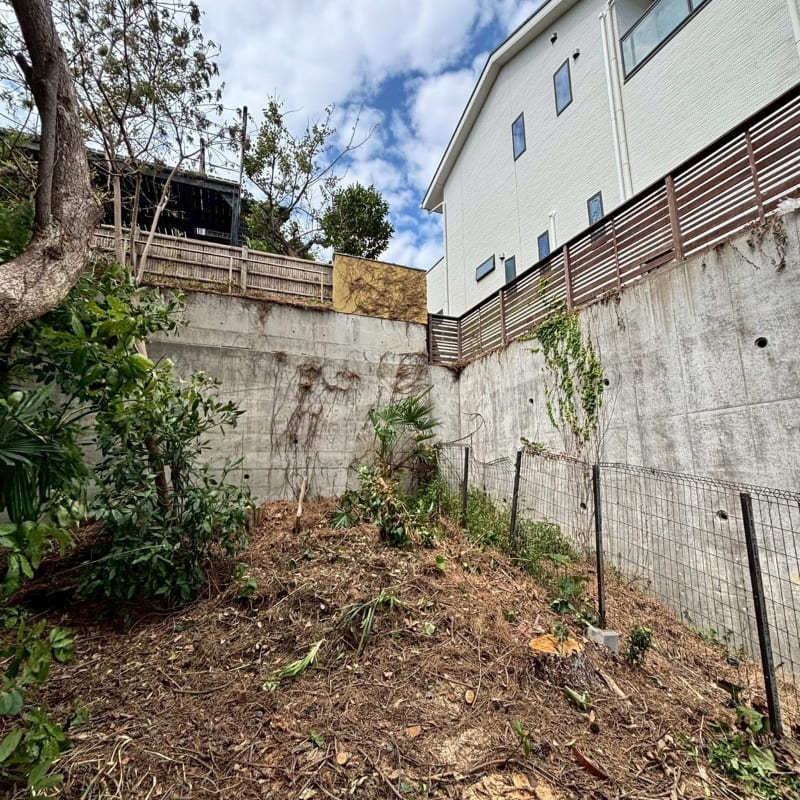 伐採・草刈りのAFTER画像